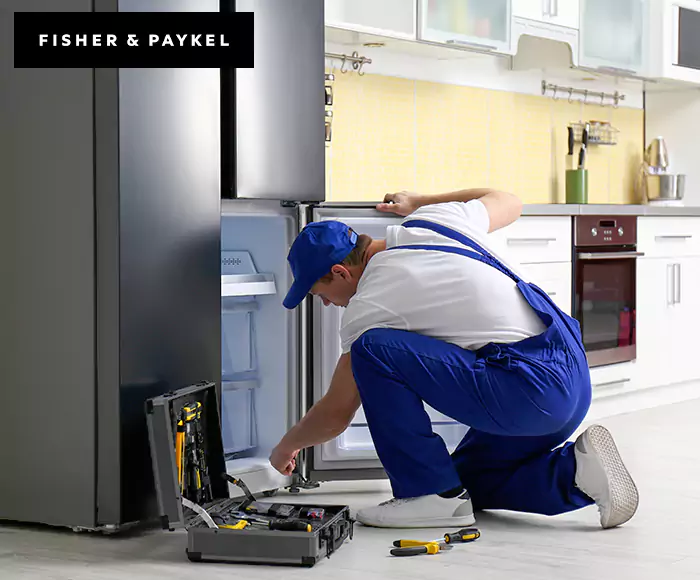 Top-Rated Fisher & Paykel Appliance Experts: Your Brand Specialist in Attleboro, MA